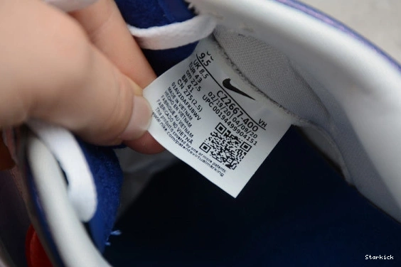 Nike CZ2667-400 Low (2020) Samba Dunk 0211